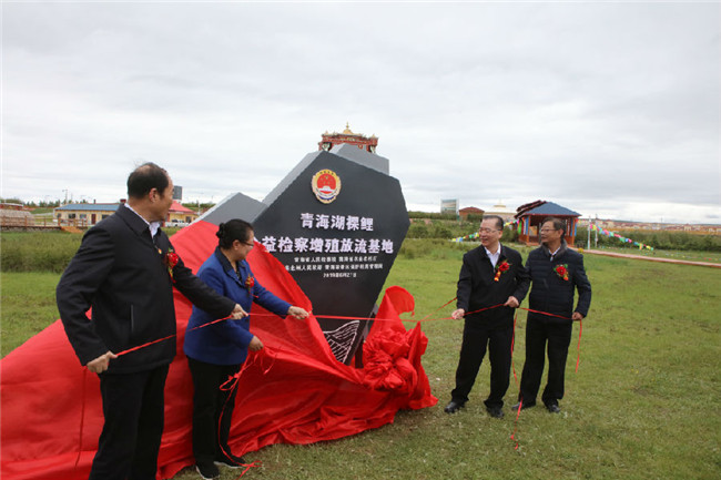 青海:联合举行“青海湖裸鲤公益检察增殖放流基地”揭牌仪式